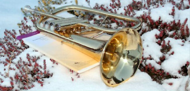 BMV Weihnachtsbrief2022 Bild