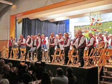 10 jahre sbo jubilaeumskonzert 18 20171129 1890060283