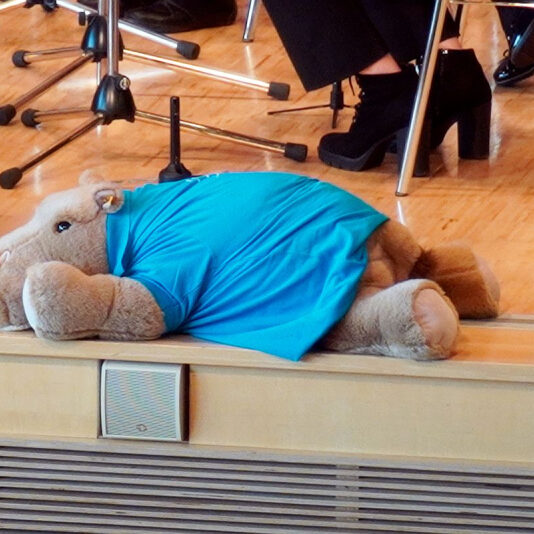 job stadt und buergerwehrmusik villingen 4 20230513 1978240994