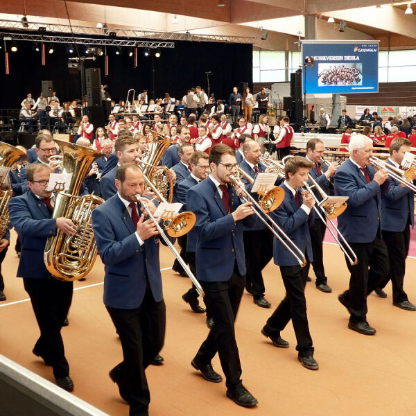 marschparade arena geisingen teil2 7 20230516 1679665565