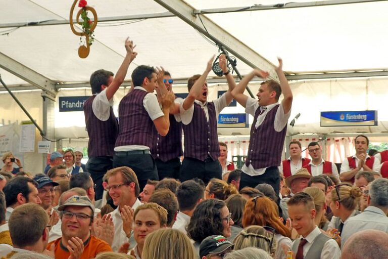 verbandsmusikfest sonstiges 31 20170529 1670557972