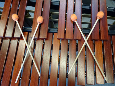 vjbo probenphase fruehjahr 2016 14 20160214 1091437437