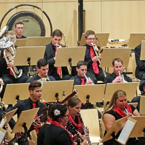 vjbo schwarzwald baar konzert geisingen 2015 10 20150928 1456288817