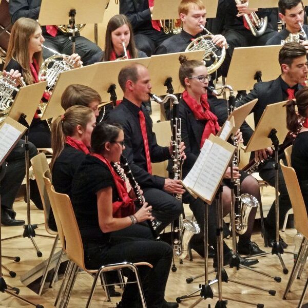 vjbo schwarzwald baar konzert geisingen 2015 11 20150928 1400647029