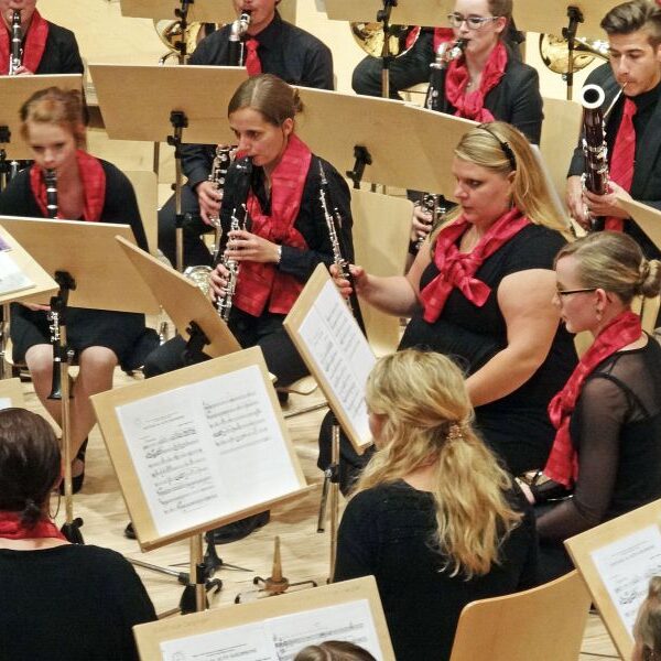 vjbo schwarzwald baar konzert geisingen 2015 12 20150928 1852127863