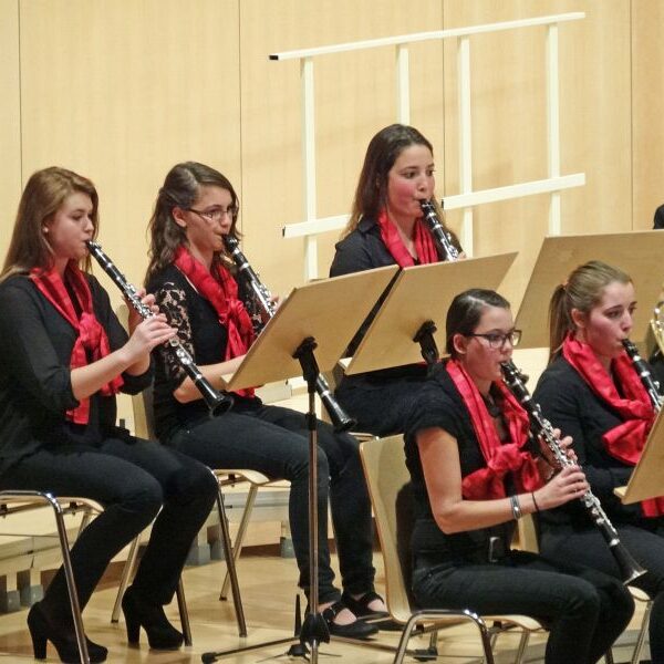 vjbo schwarzwald baar konzert geisingen 2015 14 20150928 1144302010