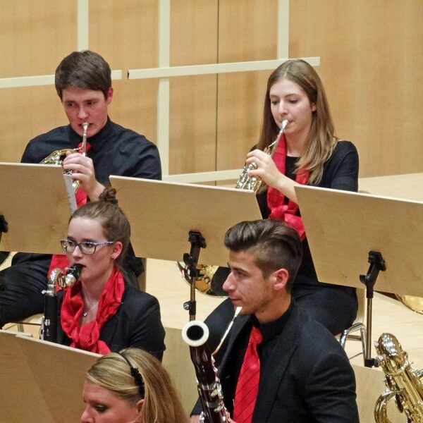 vjbo schwarzwald baar konzert geisingen 2015 15 20150928 1196799669