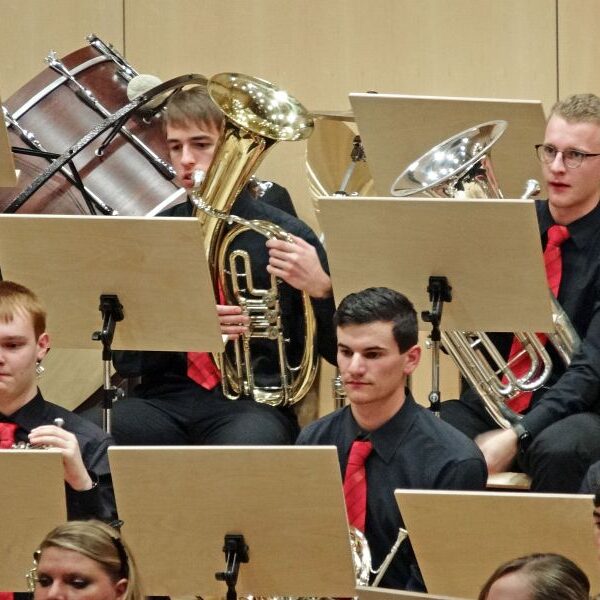 vjbo schwarzwald baar konzert geisingen 2015 17 20150928 1928367893