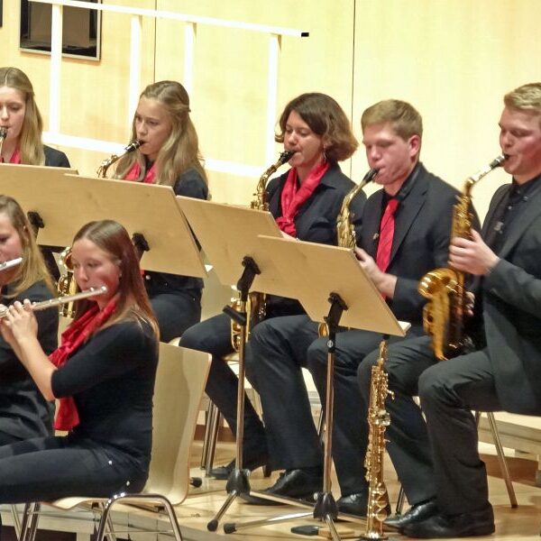 vjbo schwarzwald baar konzert geisingen 2015 21 20150928 1387328205