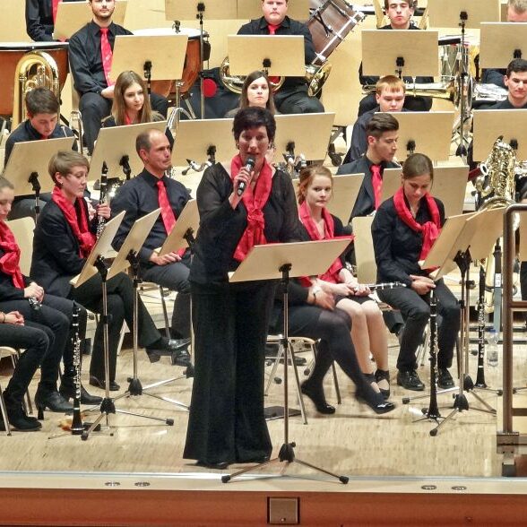 vjbo schwarzwald baar konzert geisingen 2015 35 20150928 1925096830