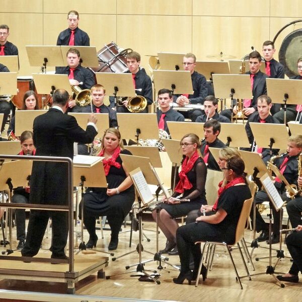 vjbo schwarzwald baar konzert geisingen 2015 7 20150928 1749915437