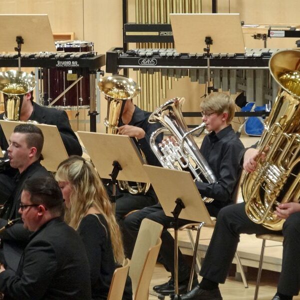 vjbo vjbo hegau bodensee konzert geisingen 2015 11 20150928 1328751813