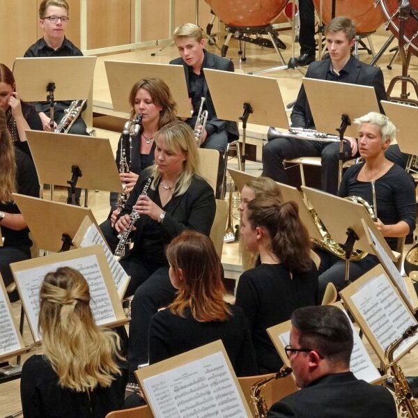 vjbo vjbo hegau bodensee konzert geisingen 2015 14 20150928 1013495778