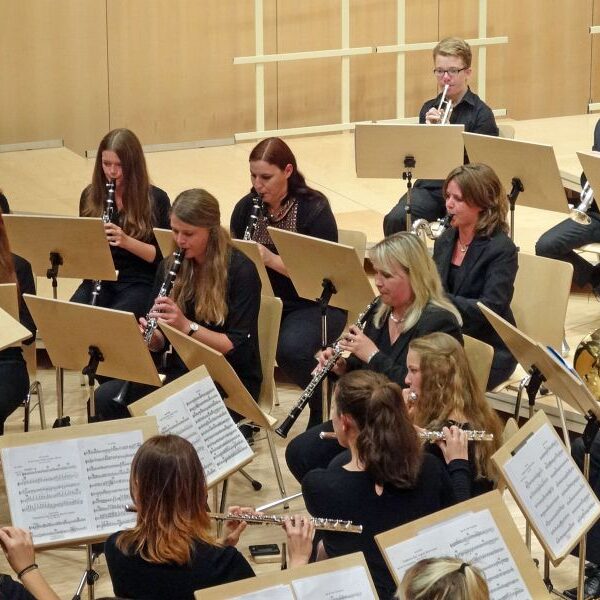 vjbo vjbo hegau bodensee konzert geisingen 2015 15 20150928 1737084983