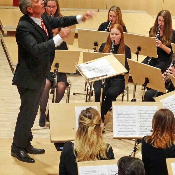 vjbo vjbo hegau bodensee konzert geisingen 2015 16 20150928 1435110560