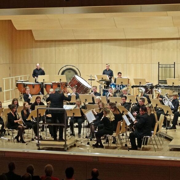 vjbo vjbo hegau bodensee konzert geisingen 2015 6 20150928 1446664607