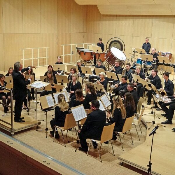 vjbo vjbo hegau bodensee konzert geisingen 2015 7 20150928 1331625970