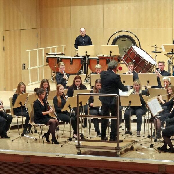 vjbo vjbo hegau bodensee konzert geisingen 2015 8 20150928 1602087218