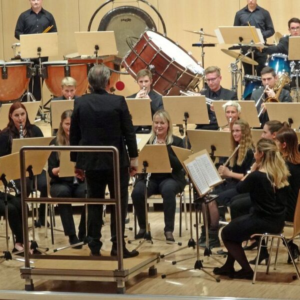 vjbo vjbo hegau bodensee konzert geisingen 2015 9 20150928 1422882399